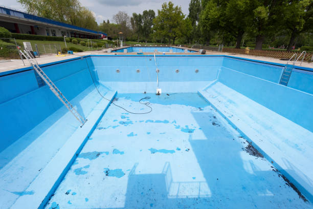 Best Mold removal after water damage  in The Woodlands, TX