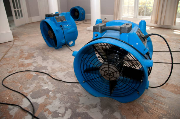 Best Emergency water extraction  in The Woodlands, TX