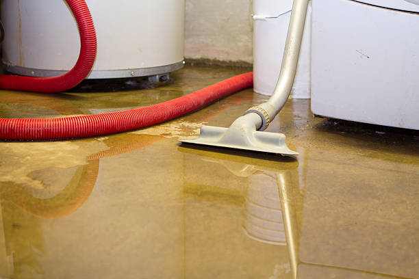 Best Water damage restoration near me  in The Woodlands, TX
