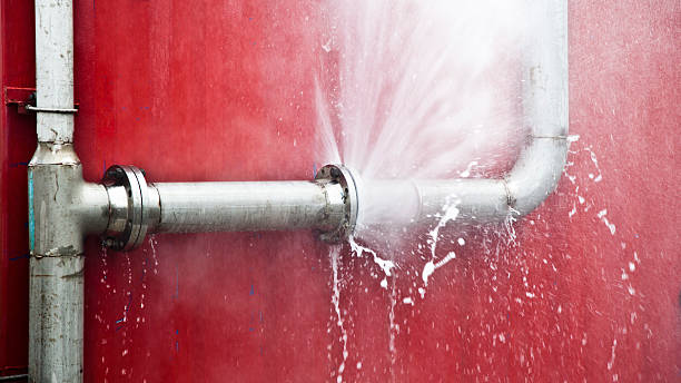 Best Professional water damage repair  in The Woodlands, TX